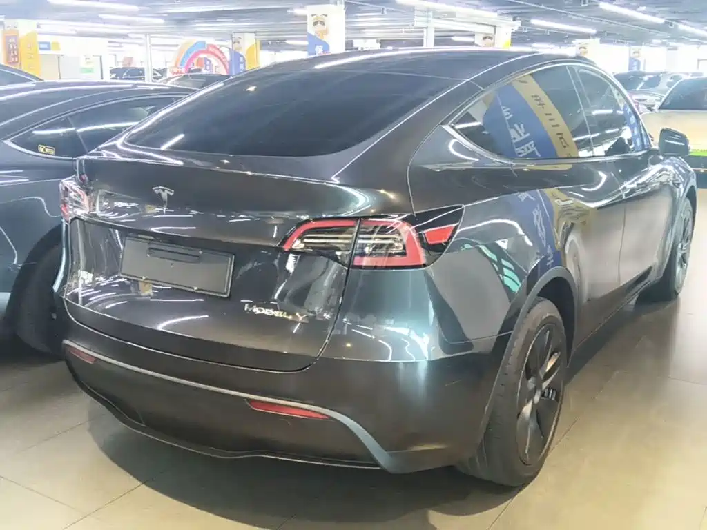 Tesla Model Y — миниатюра 7