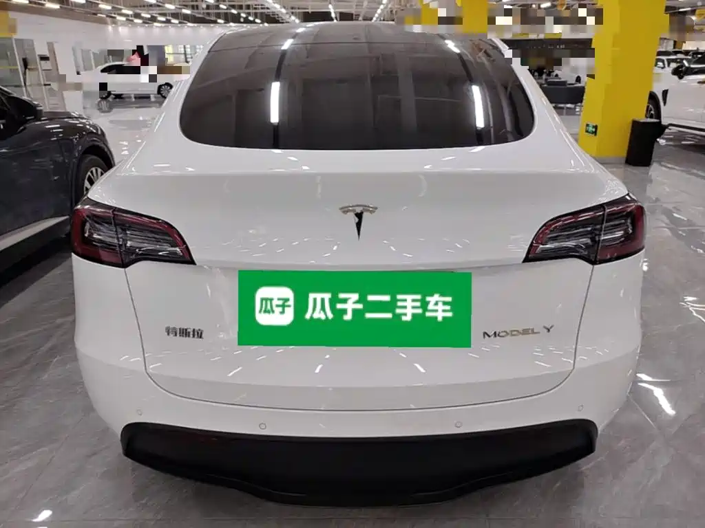 Tesla Model Y — миниатюра 6
