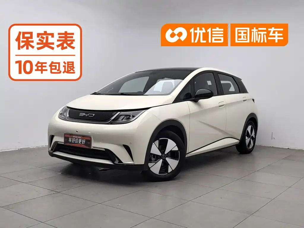 BYD Dolphin