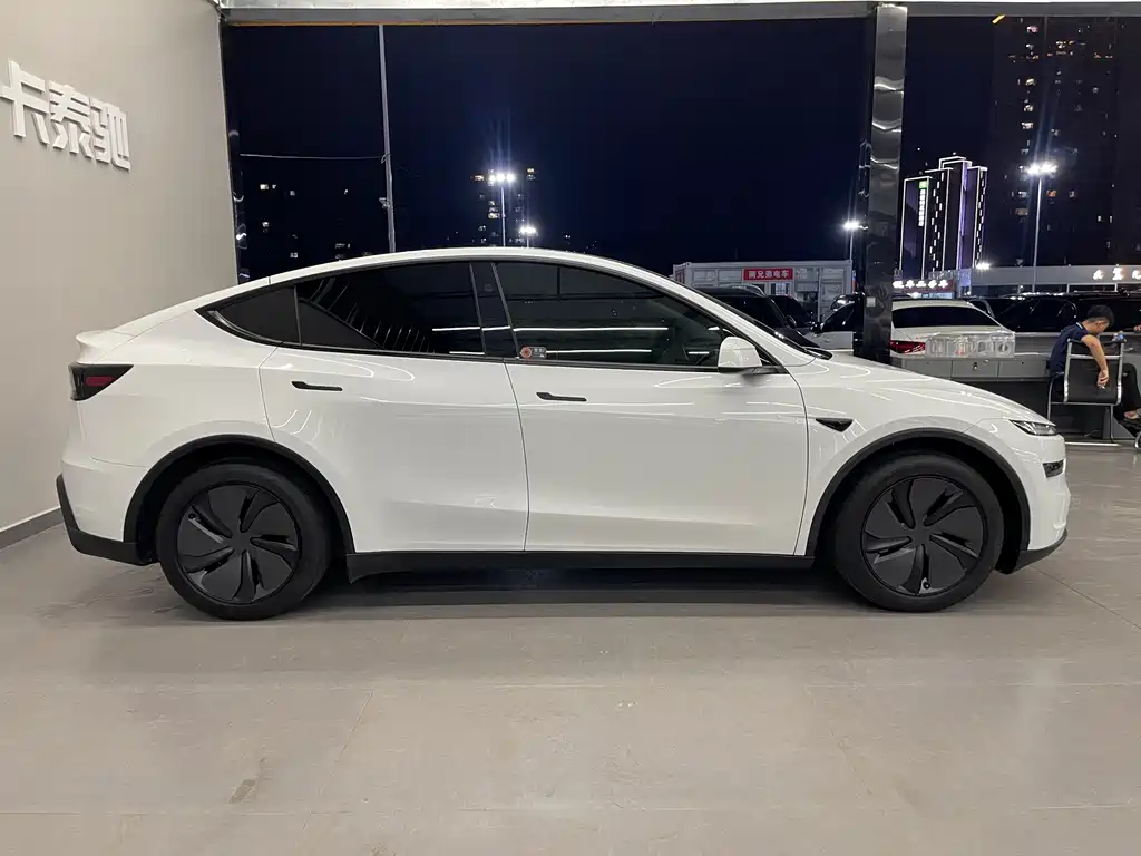 Tesla Model Y — миниатюра 7
