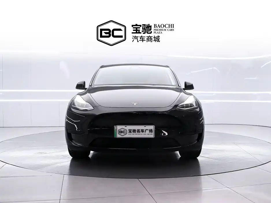 Tesla Model Y — миниатюра 2