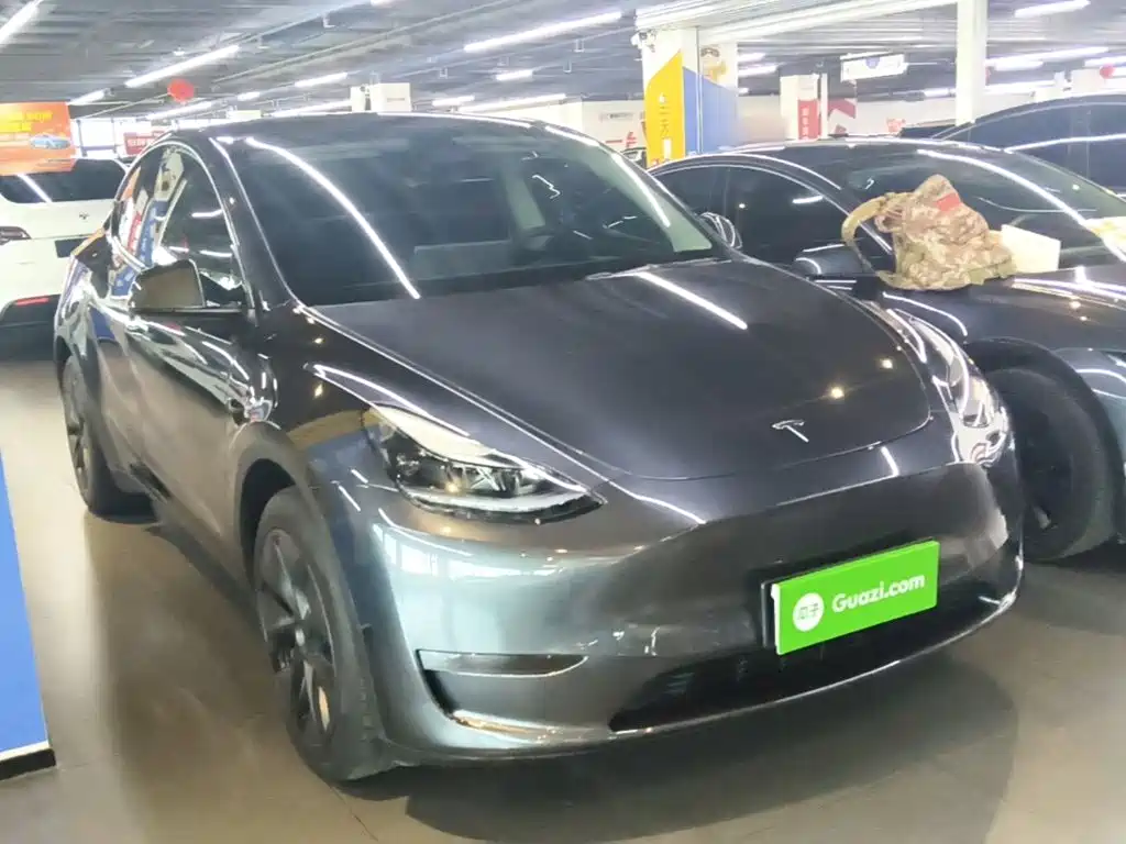 Tesla Model Y — миниатюра 4
