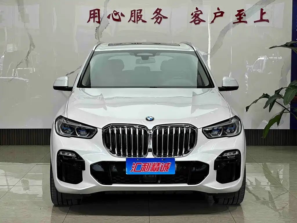 BMW X5 (Import) — миниатюра 2