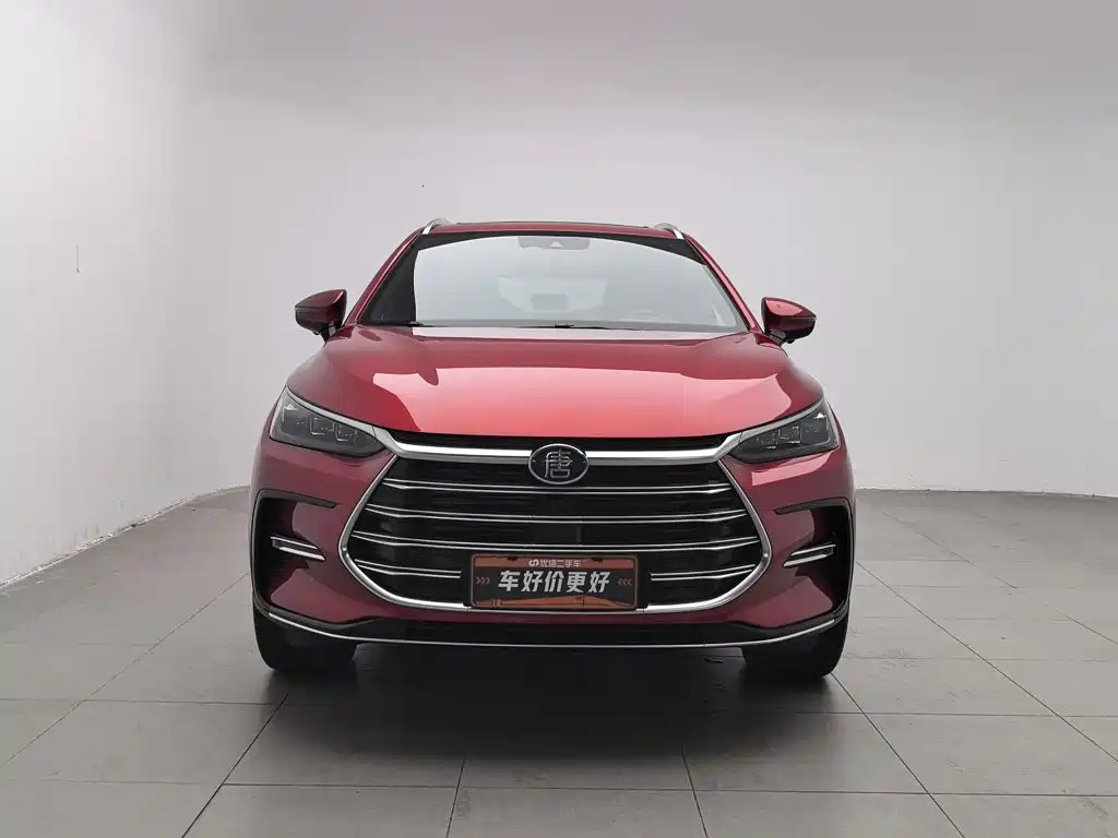BYD Tang New Energy — миниатюра 3