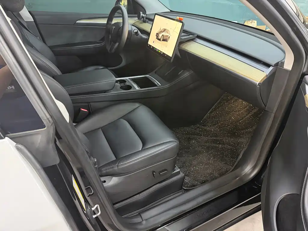 Tesla Model Y — миниатюра 3