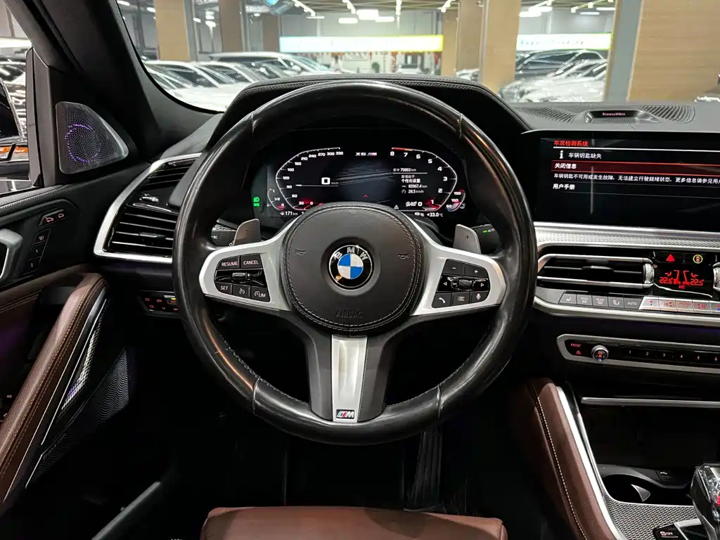 BMW X6 — миниатюра 7