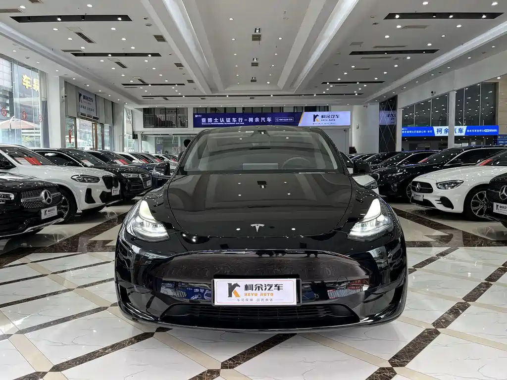 Tesla Model Y — миниатюра 3