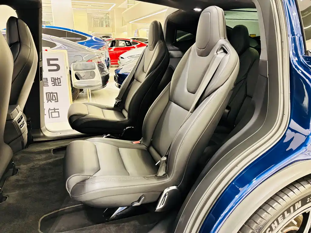 Tesla Model X — миниатюра 24