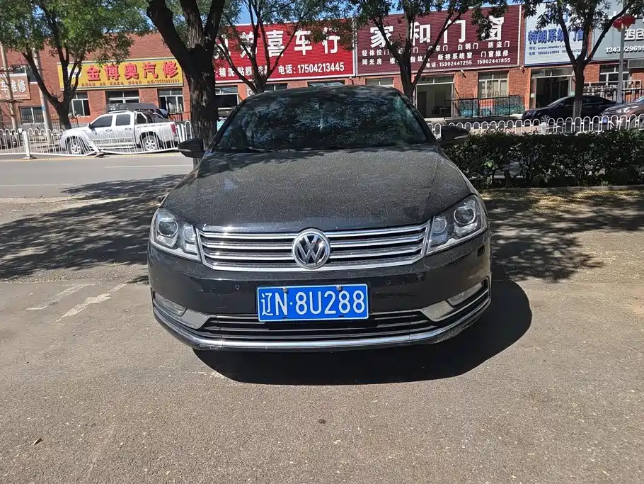 Volkswagen Magotan — миниатюра 2
