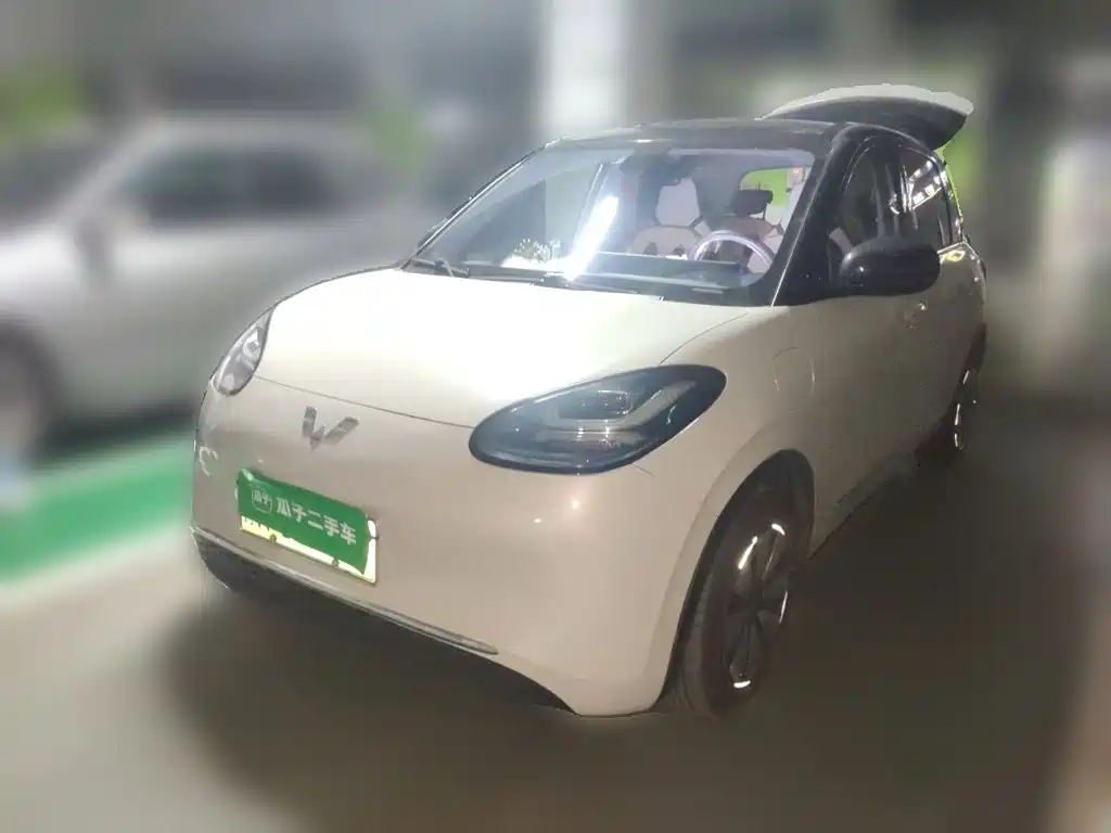 Wuling Binguo 2023 333km +