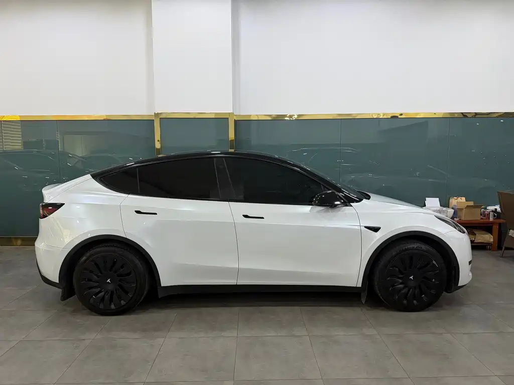Tesla Model Y — миниатюра 2