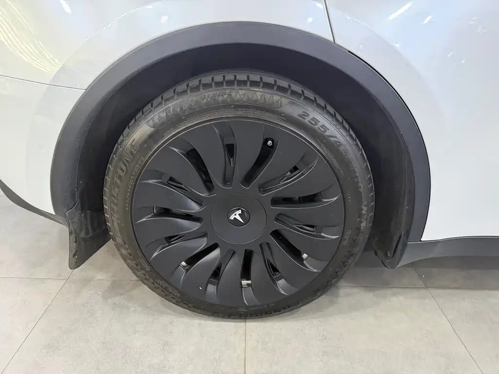 Tesla Model Y — миниатюра 9