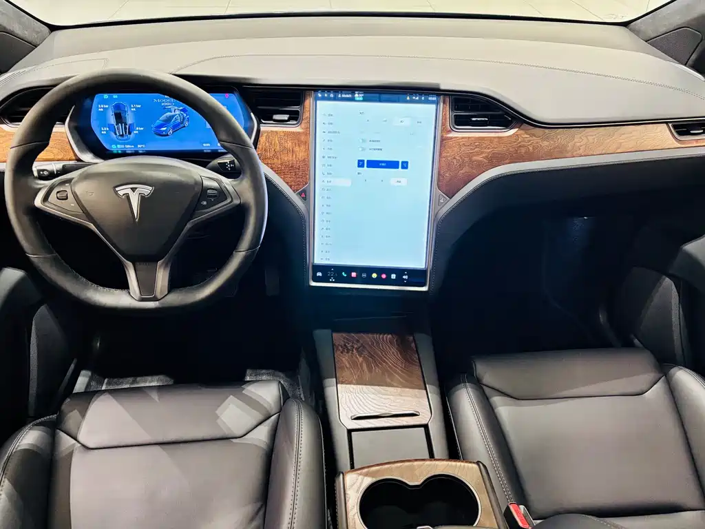 Tesla Model X — миниатюра 8