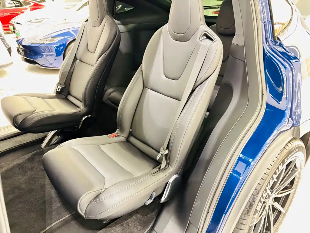 Tesla Model X — миниатюра 23