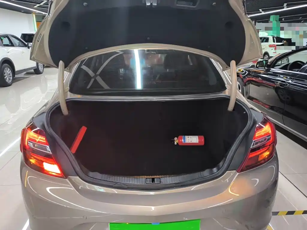 Buick Regal — миниатюра 19