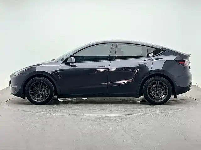 Tesla Model Y — миниатюра 4