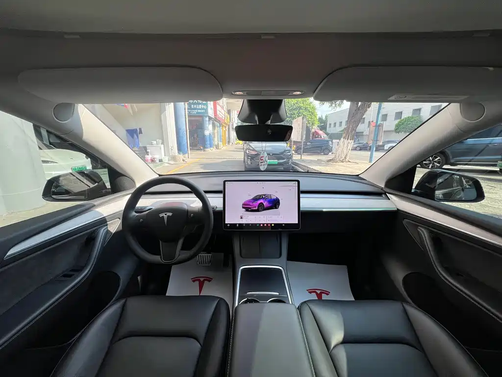 Tesla Model Y — миниатюра 11
