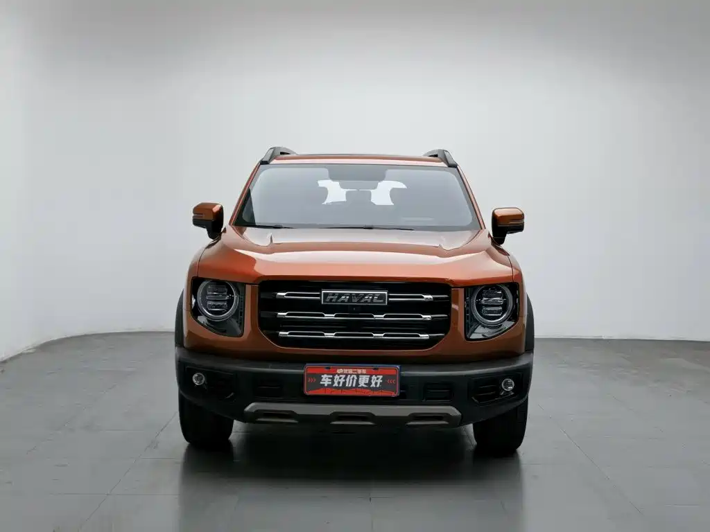 Haval Big Dog — миниатюра 3