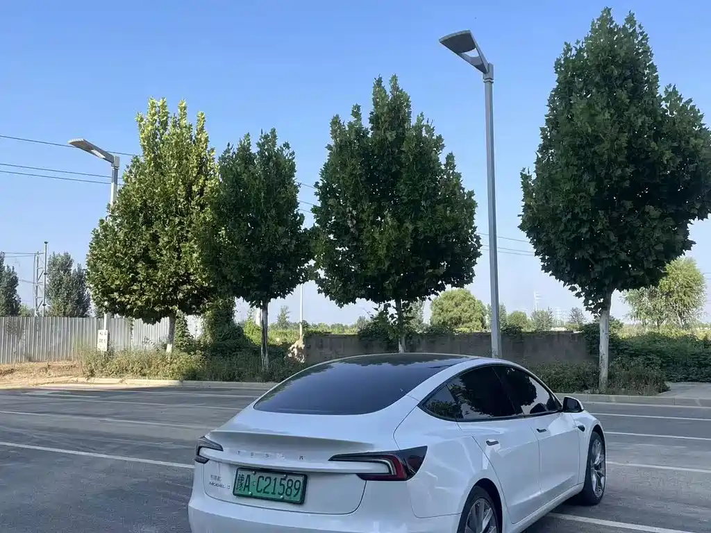 Tesla Model 3 — миниатюра 9
