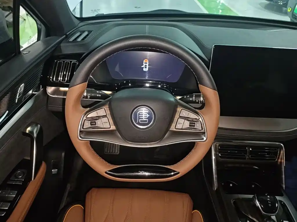 BYD Tang New Energy — миниатюра 11