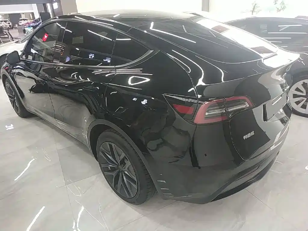 Tesla Model Y — миниатюра 5