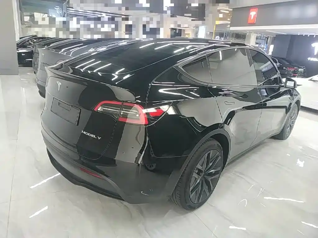 Tesla Model Y — миниатюра 7