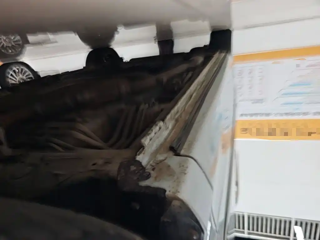 Honda Elysion — миниатюра 21