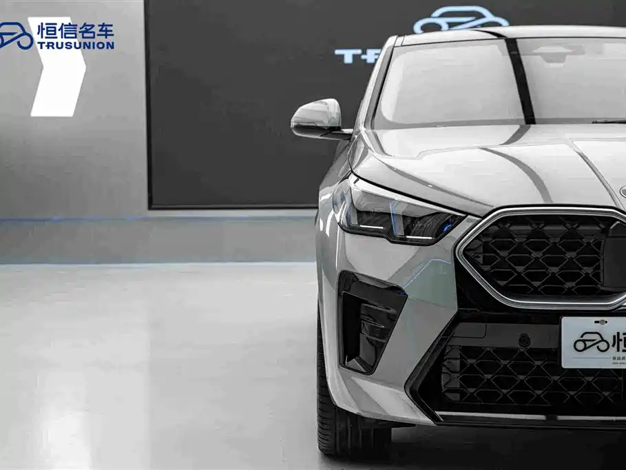 BMW X2 (Import) — миниатюра 8