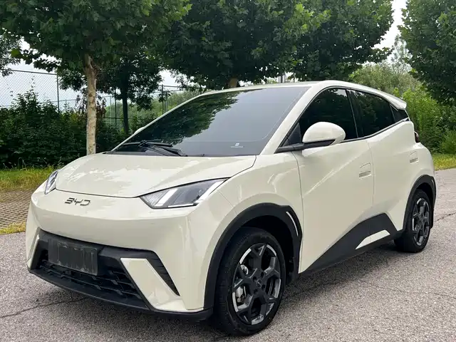BYD Seagull