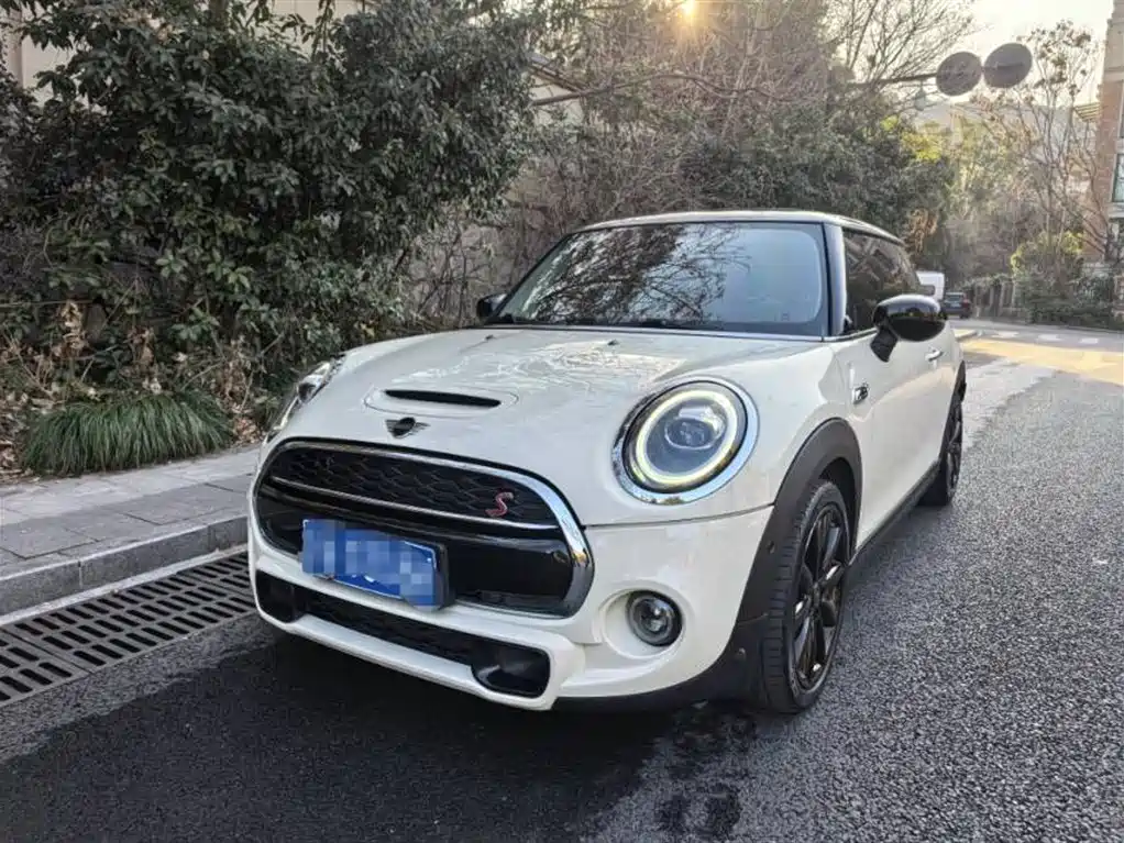 Mini Mini 2020