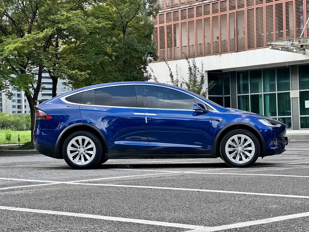 Tesla Model X — миниатюра 8