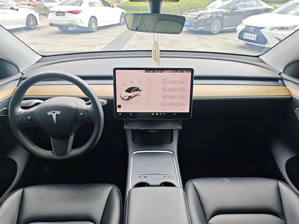 Tesla Model Y — миниатюра 27