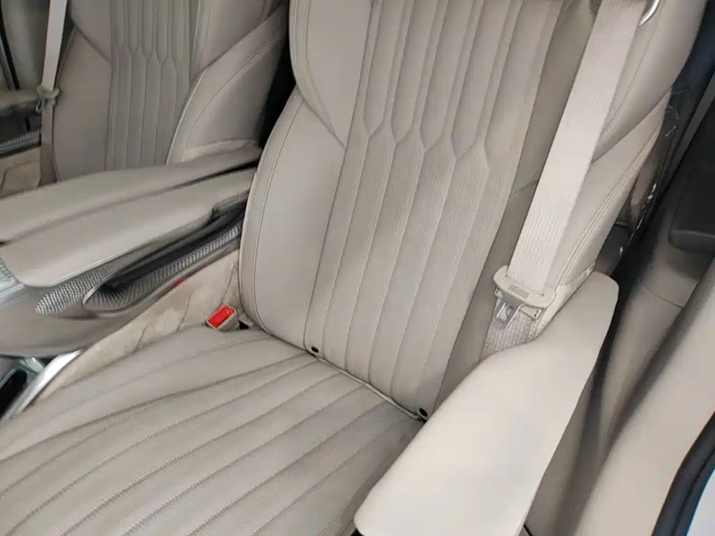 Buick GL8 — миниатюра 17