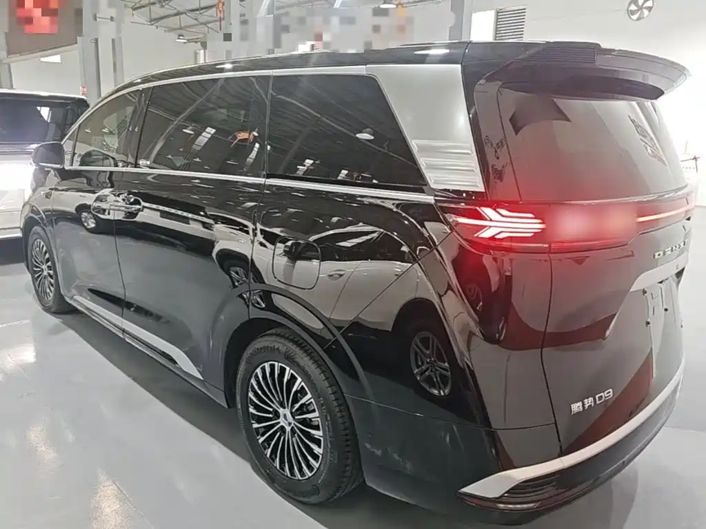 Denza Denza D9 — миниатюра 5