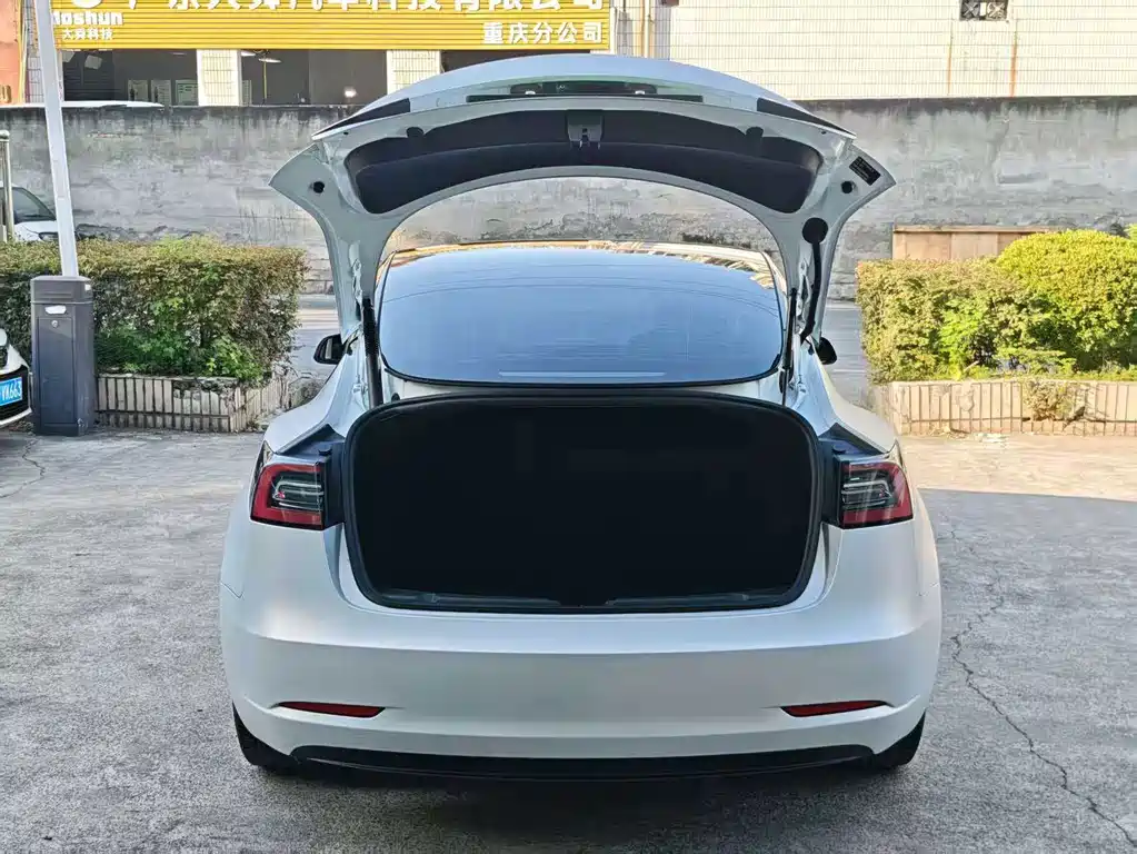 Tesla Model 3 — миниатюра 4