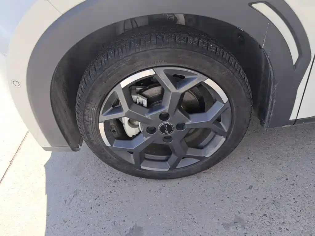 BYD Seagull — миниатюра 23