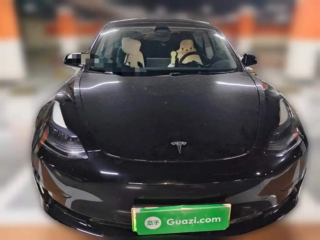 Tesla Model 3 — миниатюра 2