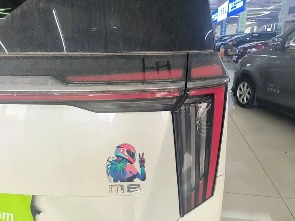 GAC Motor Trumpchi M8 — миниатюра 8