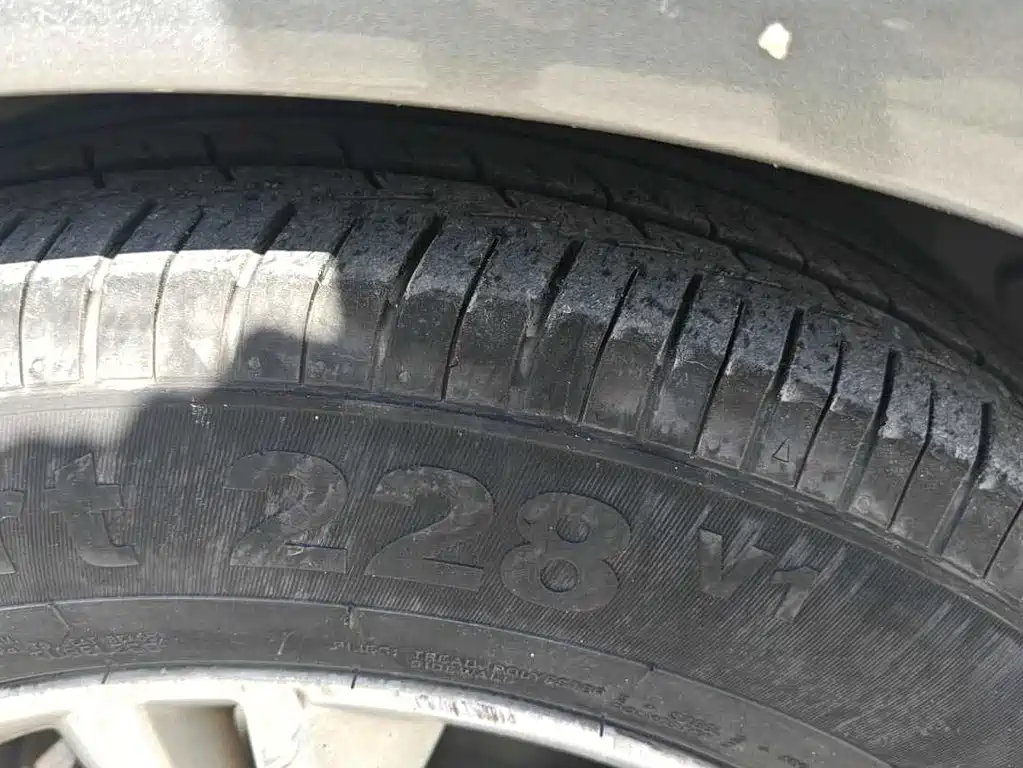 Nissan Sunny — миниатюра 3