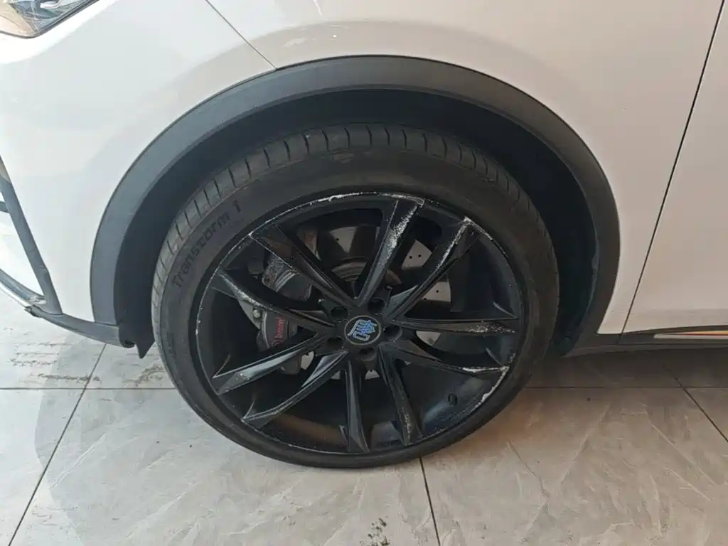 BYD Tang New Energy — миниатюра 23