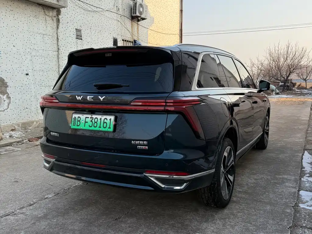 WEI PAI WEI BRAND BLUE MOUNTAIN