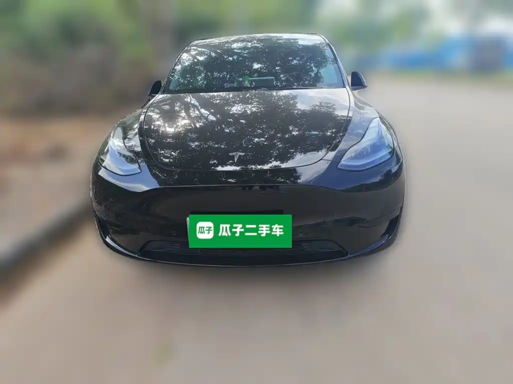 Tesla Model Y — миниатюра 2