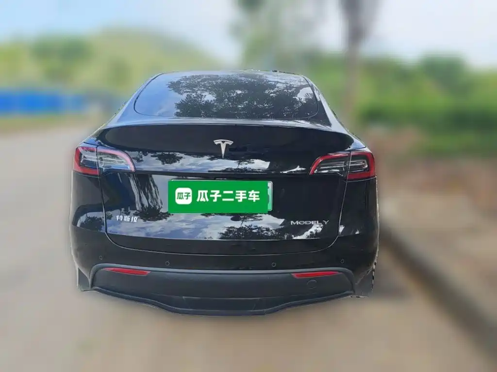 Tesla Model Y — миниатюра 3