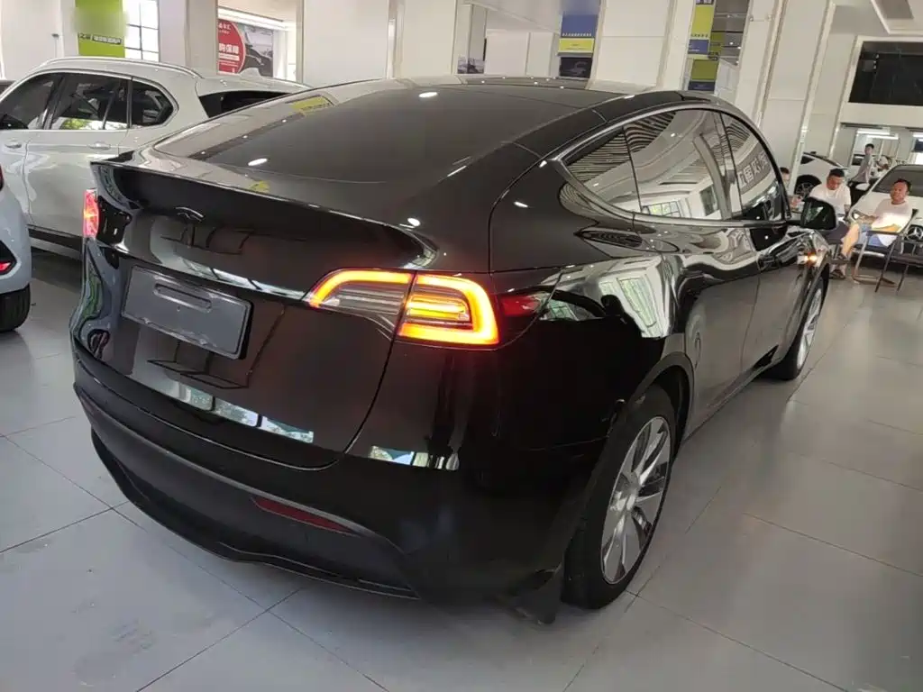 Tesla Model Y — миниатюра 7
