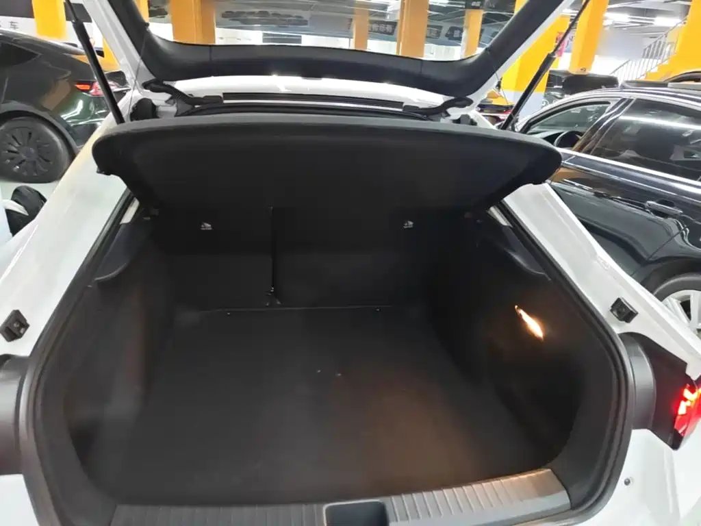 Volkswagen Lamando — миниатюра 19