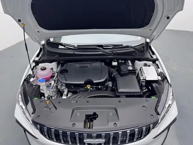 Geely Binrui — миниатюра 11