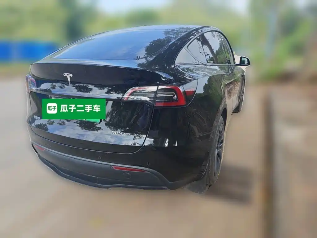 Tesla Model Y — миниатюра 4