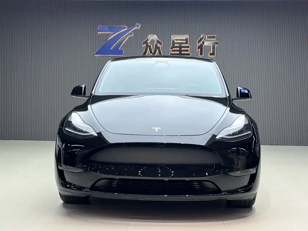 Tesla Model Y — миниатюра 2