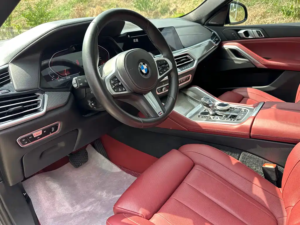 BMW X6 — миниатюра 6