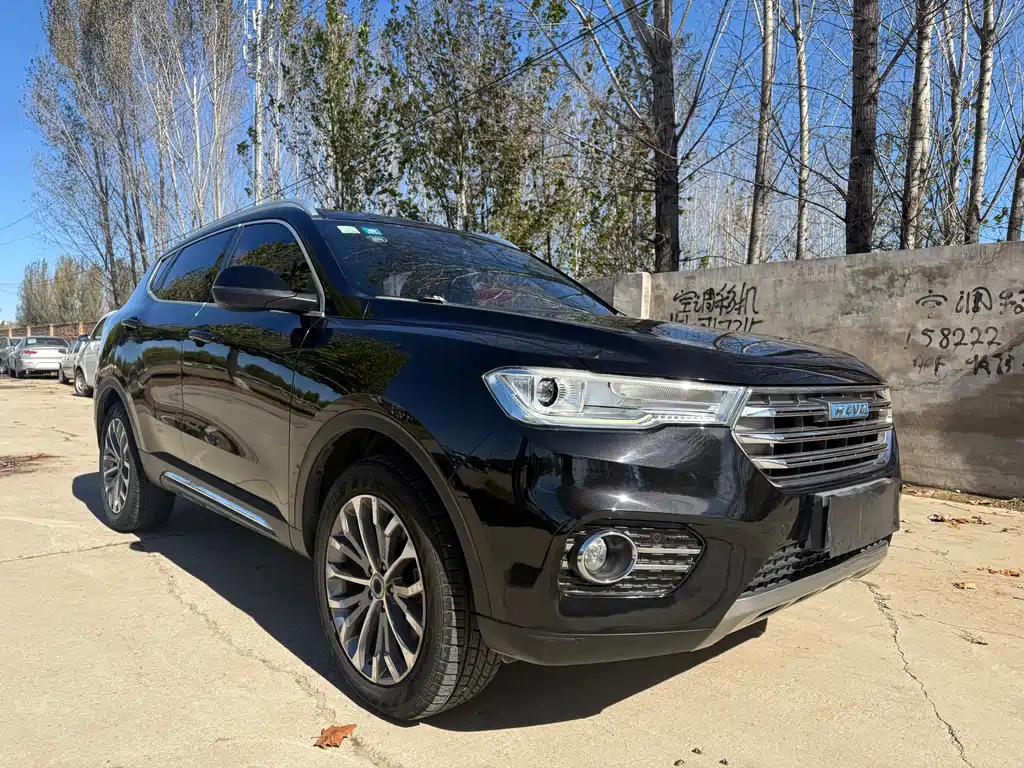 Haval H6 — миниатюра 3